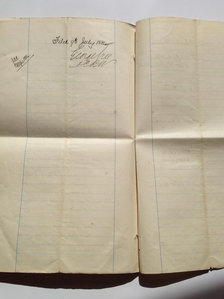 Judicature Ireland Parsons - 1883 - p10-11